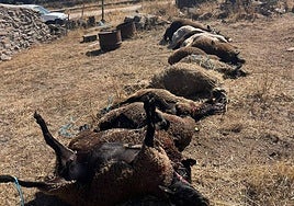 Qué ha ocurrido en Salamanca este lunes 29 de septiembre