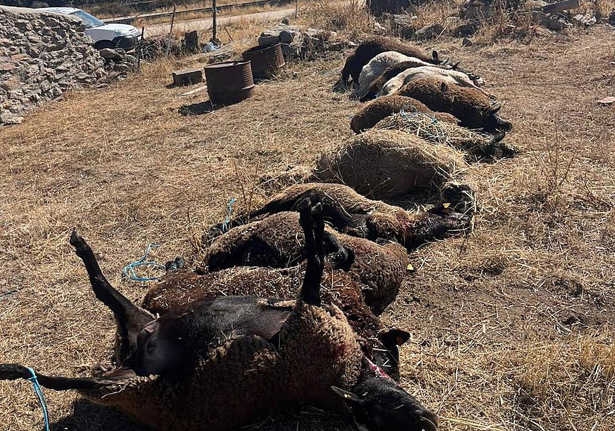 Qué ha ocurrido en Salamanca este lunes 29 de septiembre