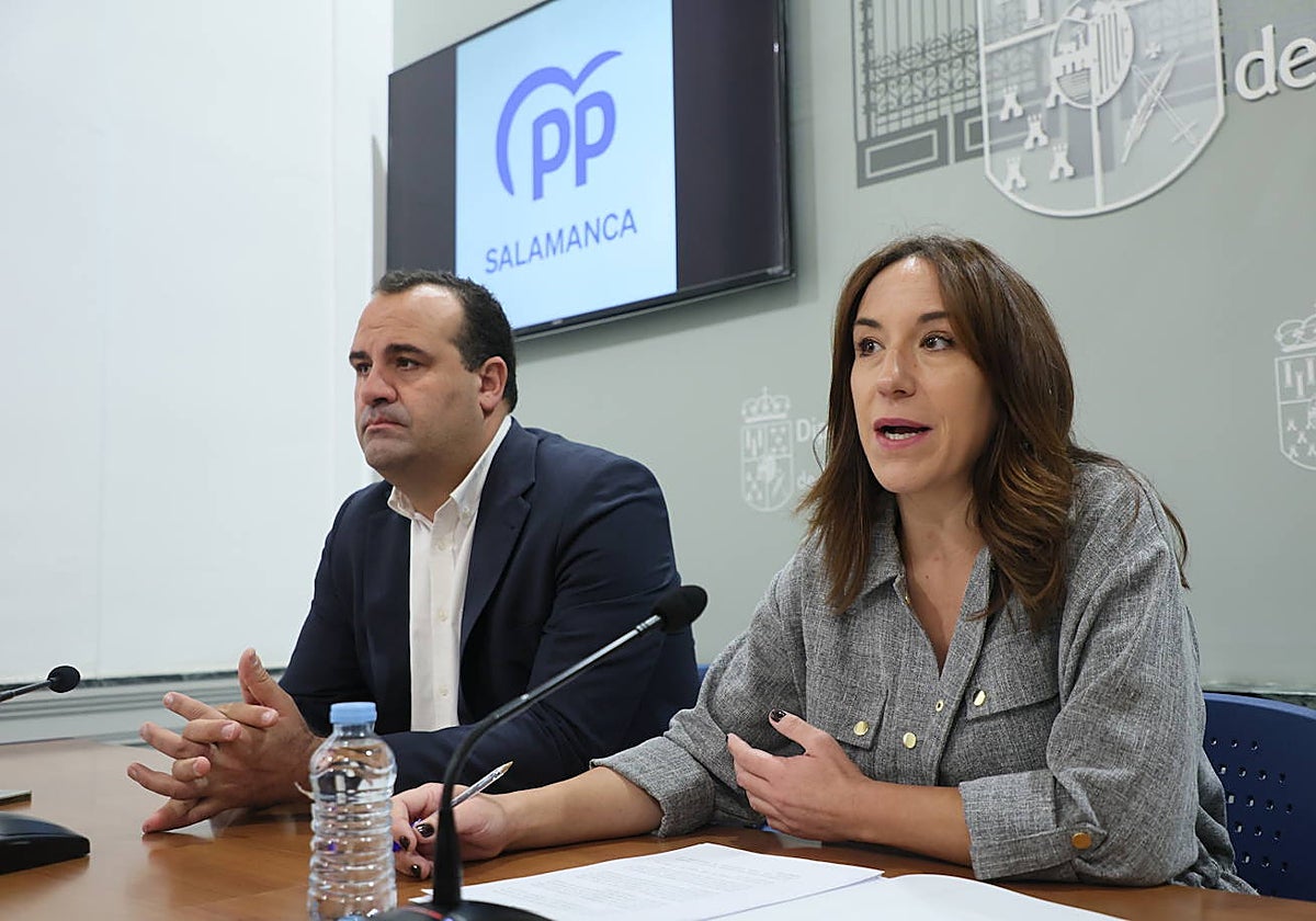 Los diputados David Mingo y Pilar Sánchez.