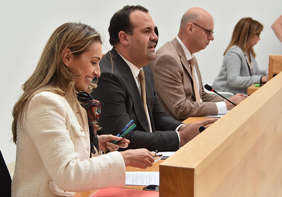 Marta Labrador, David Mingo y Jesús Salvador, instantes antes del comienzo del pleno.