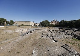 Los restos del parque arqueológico del Botánico.