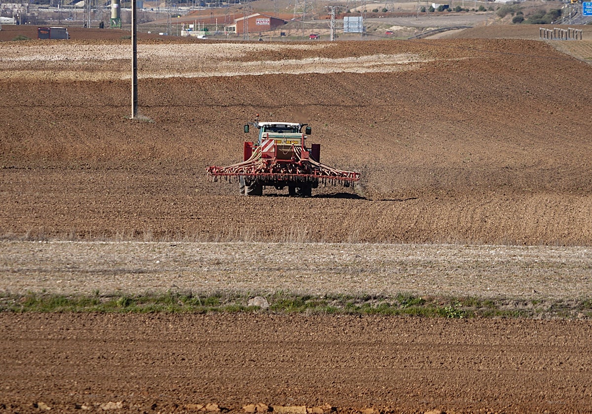 Labores para la siembra.