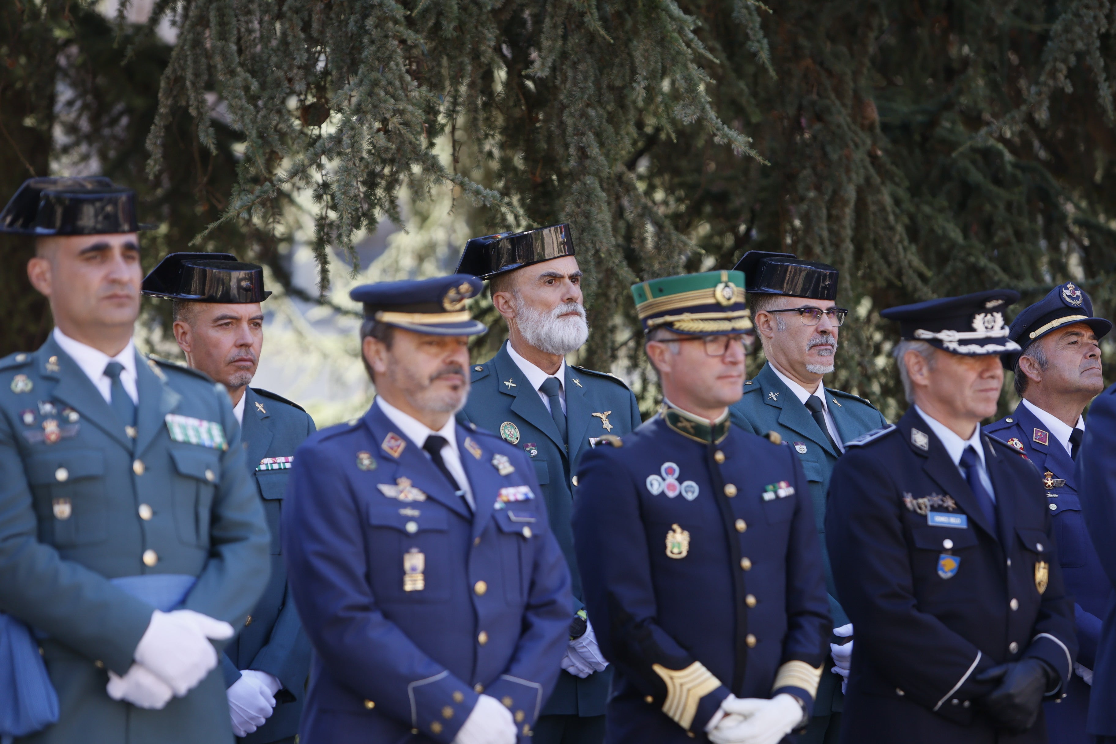 Honor y solemnidad en la celebración de los Ángeles Custodios