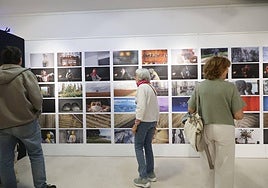 Sinestesia Visual: interpretaciones fotográficas a partir de canciones