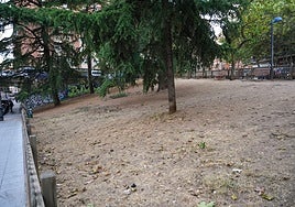 Ni un solo rastro de césped