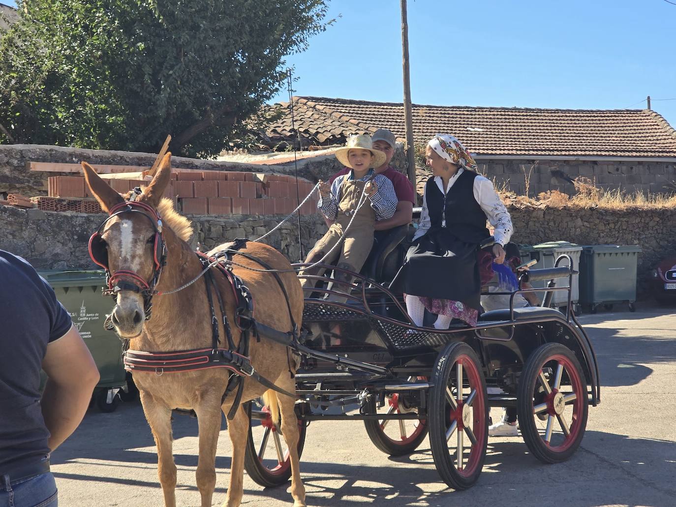 Saelices el Chico se entrega a la Fiesta de la Vendimia
