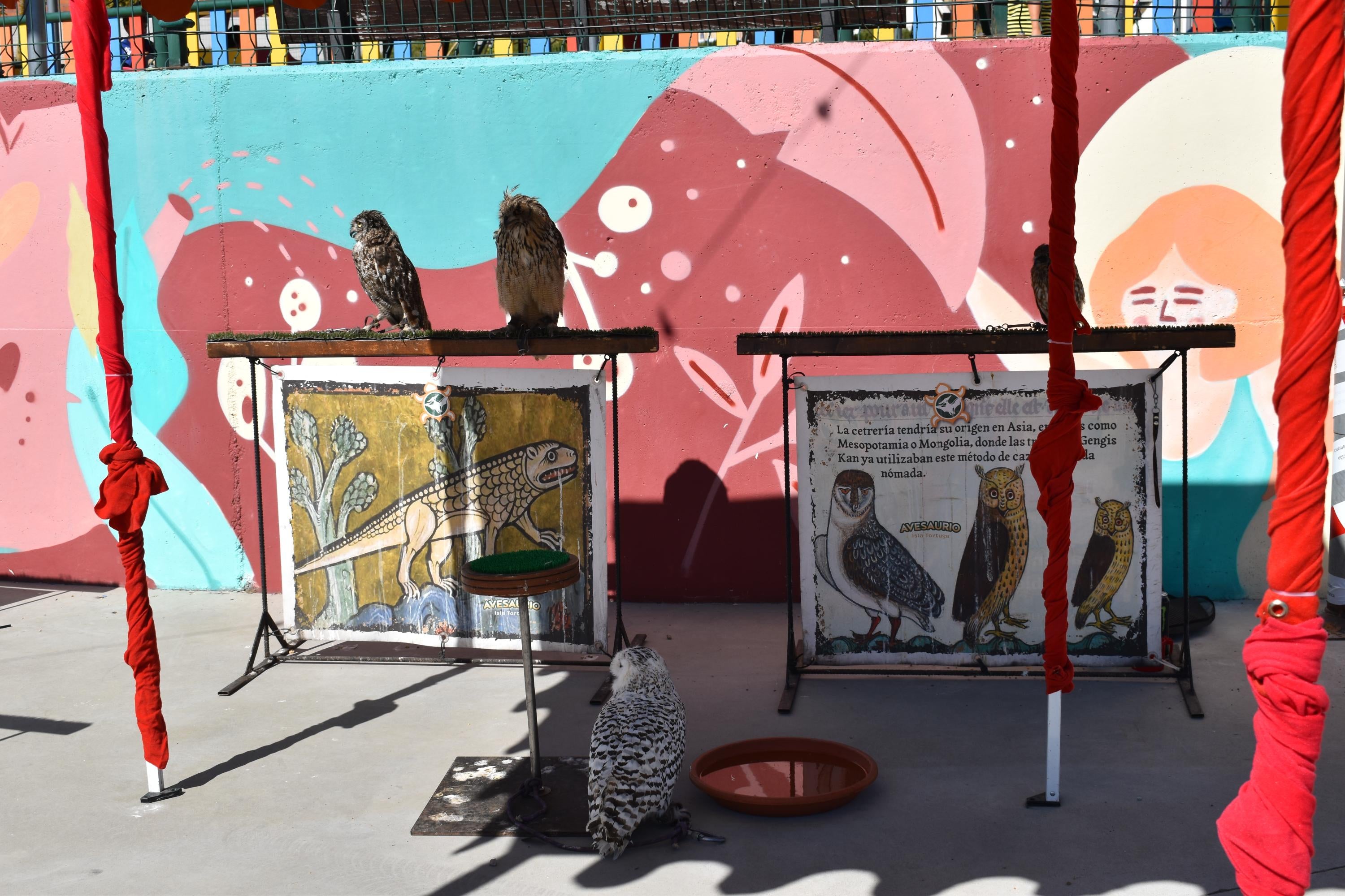 Un viaje del siglo XXI al XVI para revivir los preparativos del enlace entre Felipe II y María Manuela de Portugal