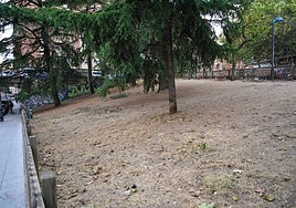 Un pipican o... un desierto