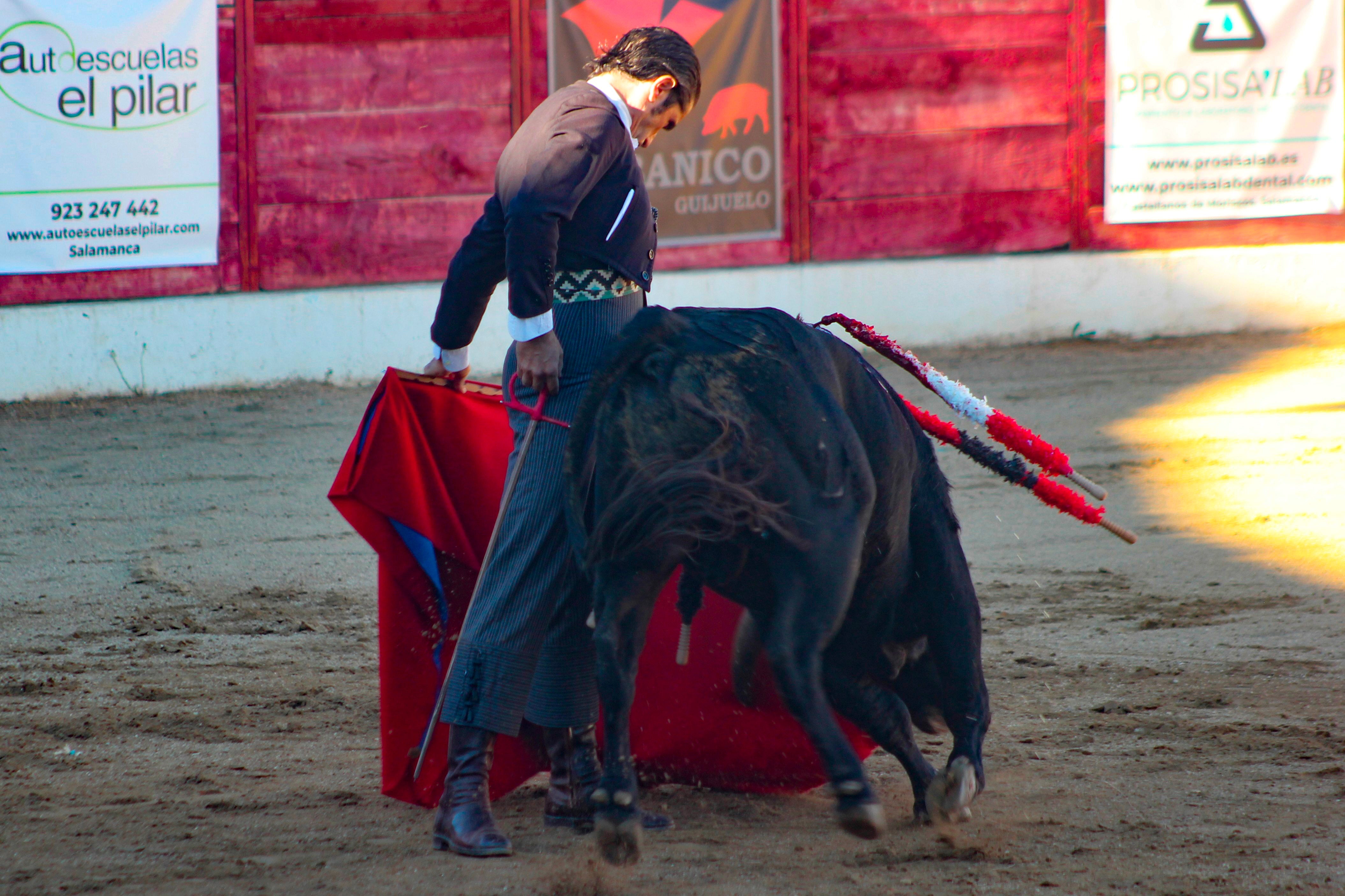 El festival taurino de Aerscyl, en imágenes
