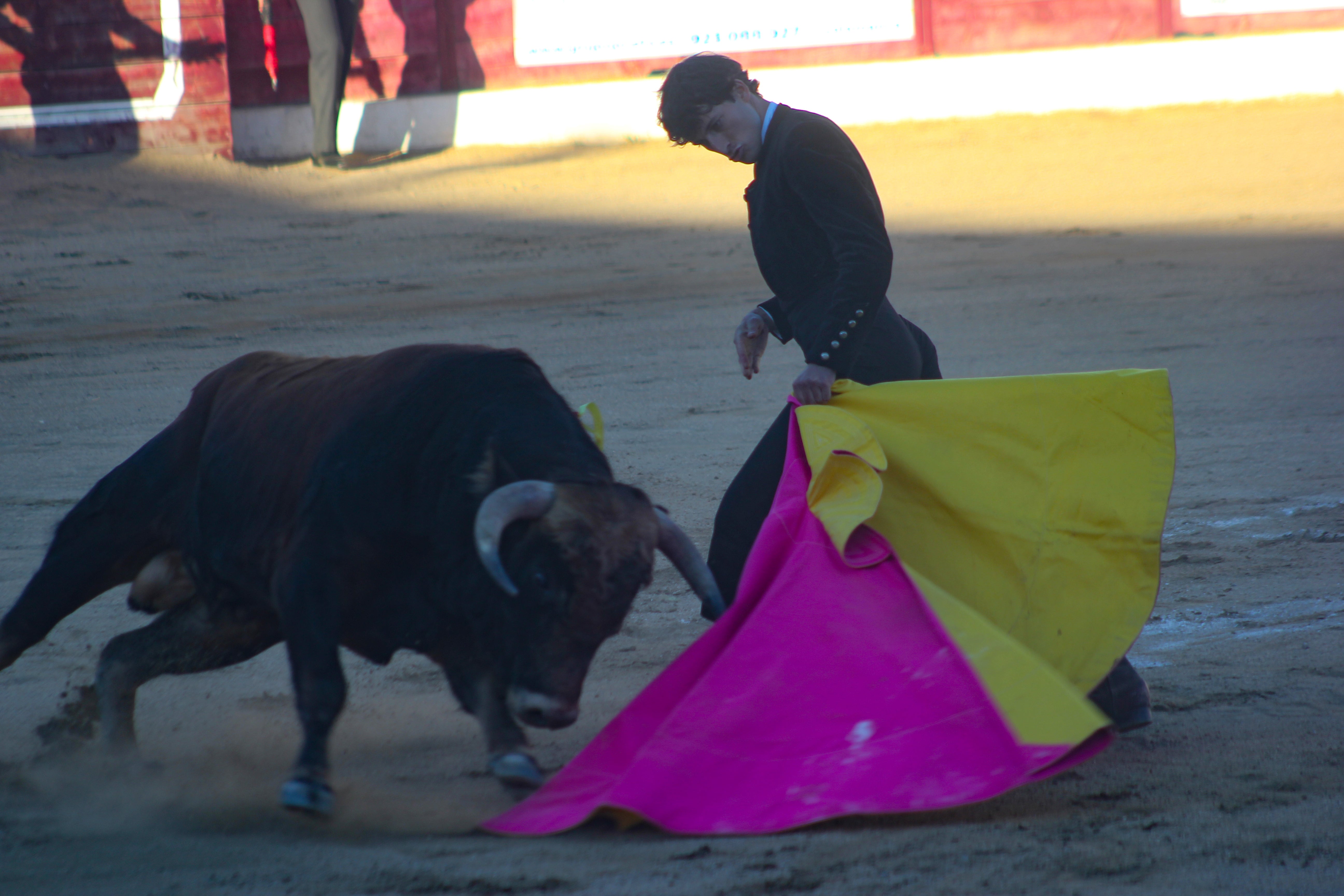 El festival taurino de Aerscyl, en imágenes
