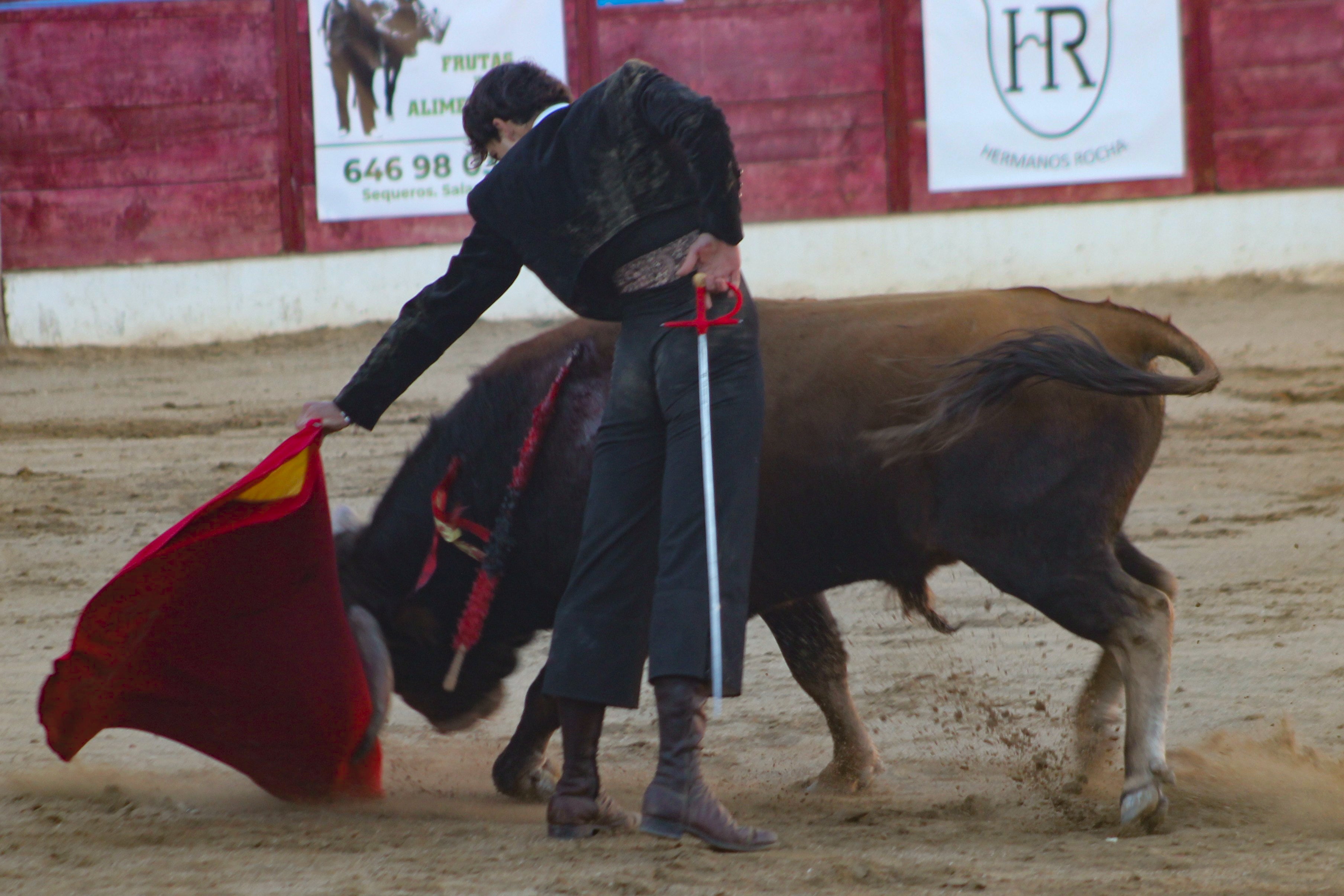 El festival taurino de Aerscyl, en imágenes