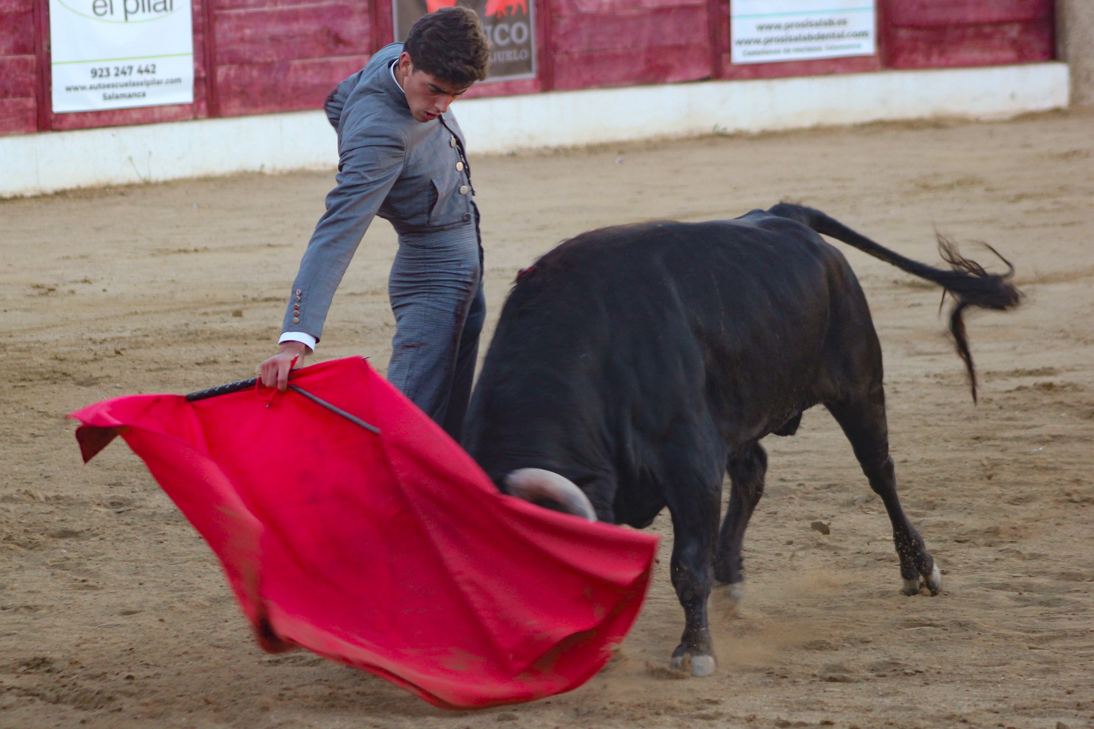 El festival taurino de Aerscyl, en imágenes