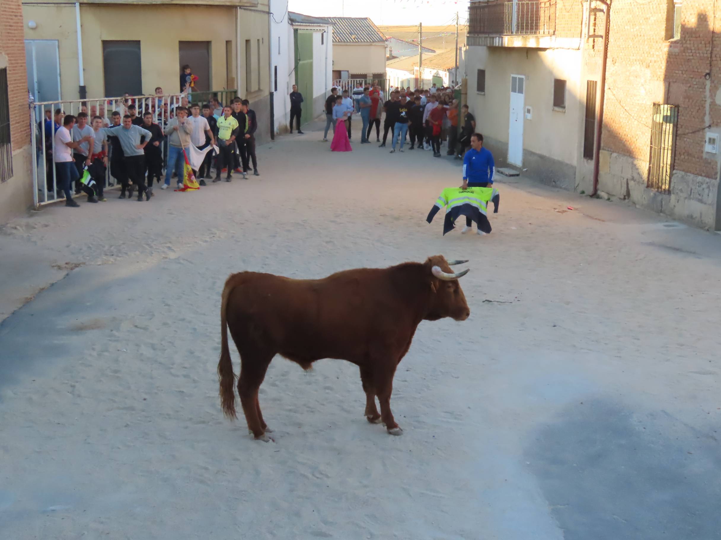Derroche de adrenalina y alegría en las calles de Poveda de las Cintas