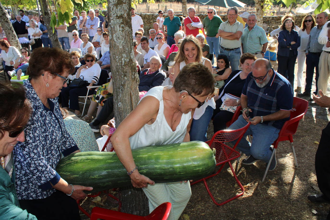 Ofrendas de devoción a la Virgen de la Yedra