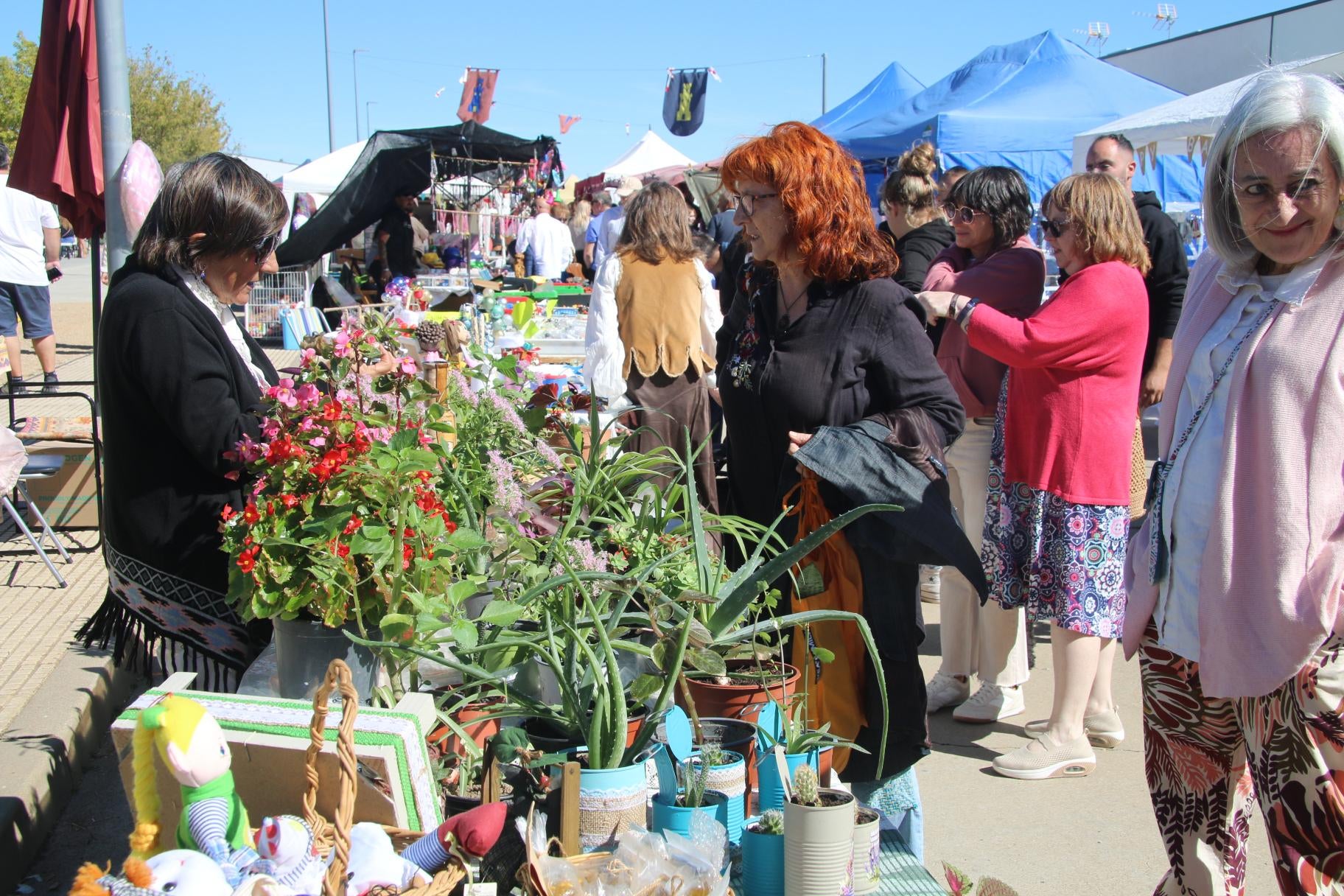 Aldeatejada vuelve con éxito al siglo XVI con las Vísperas Nupciales