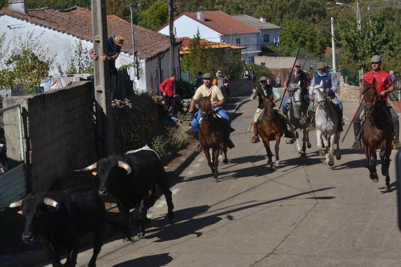 Bello encierro a caballo en las calles de El Maíllo