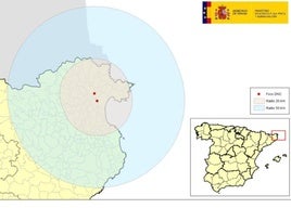 Confirmado el segundo caso de dermatosis nodular contagiosa