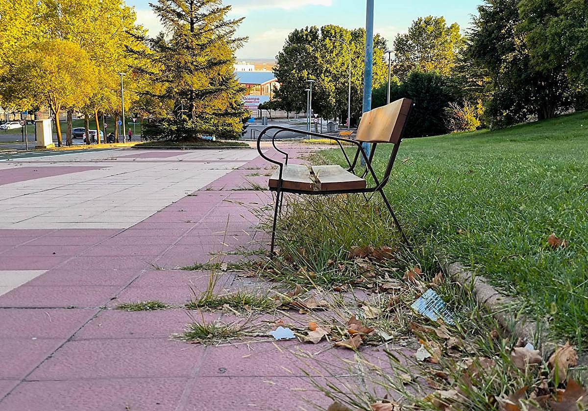 La hierba se come a la acera