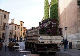 Un camión se lleva el photocall de la Rúa Mayor.