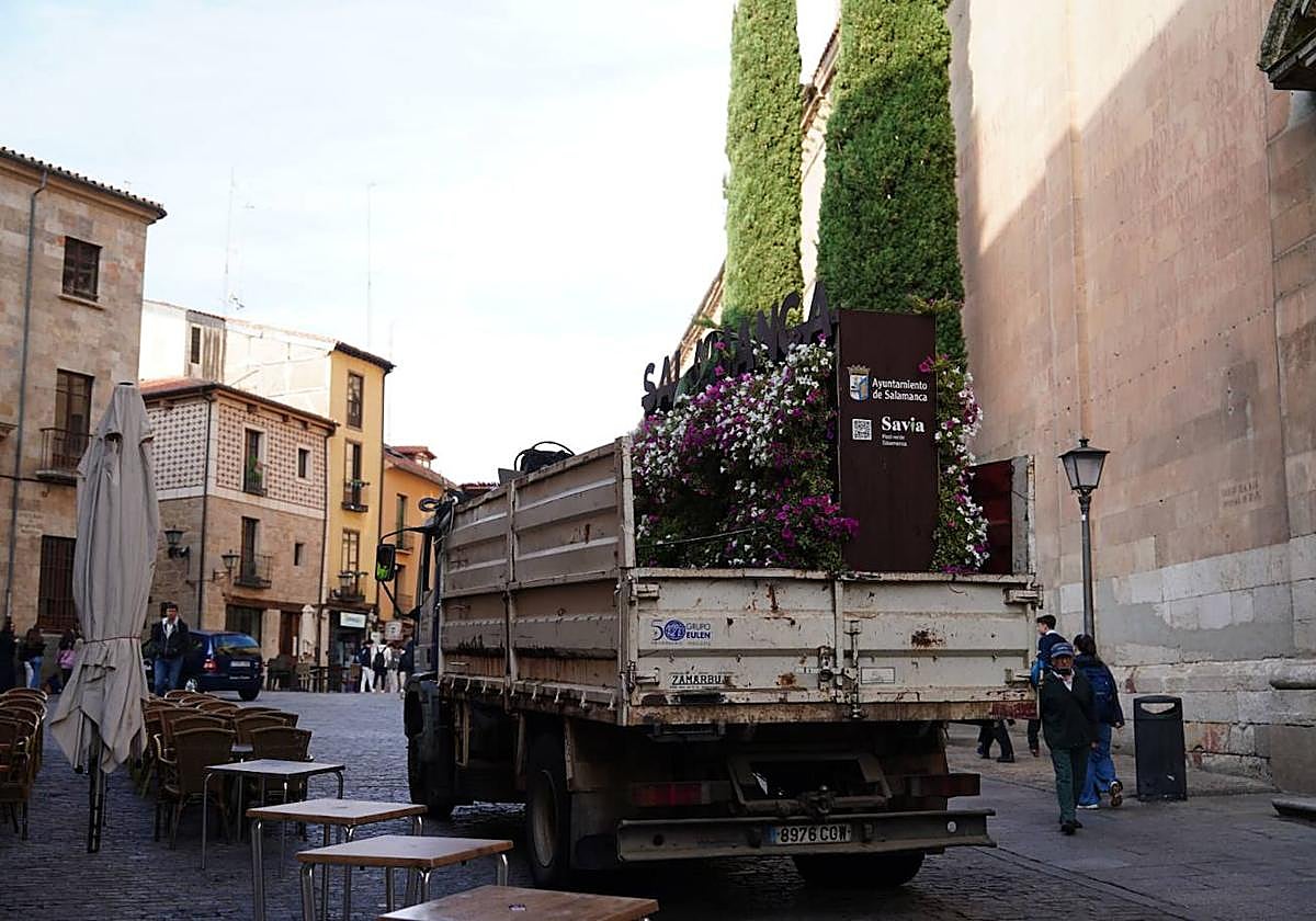 Un camión se lleva el photocall de la Rúa Mayor.