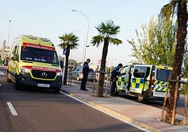 Una ambulancia y la Policía Local, en el puente.