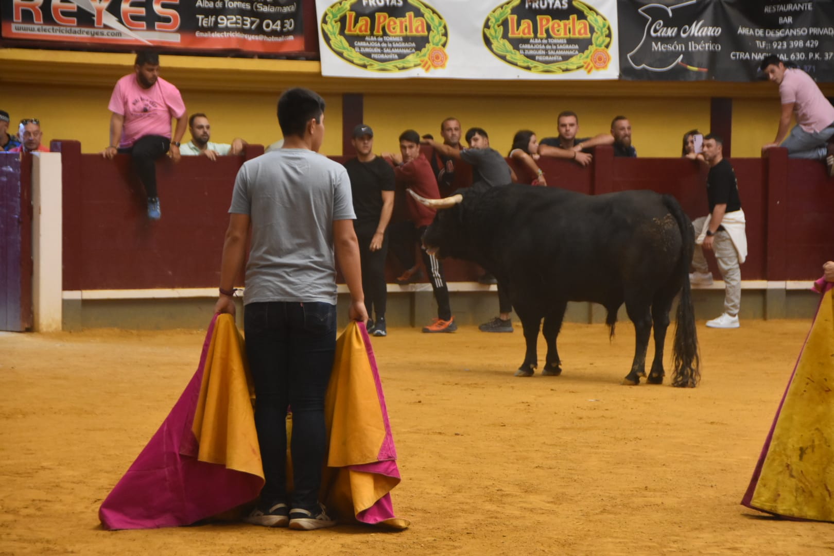 Alba inicia sus fiestas de Santa Teresa con emoción y tradición