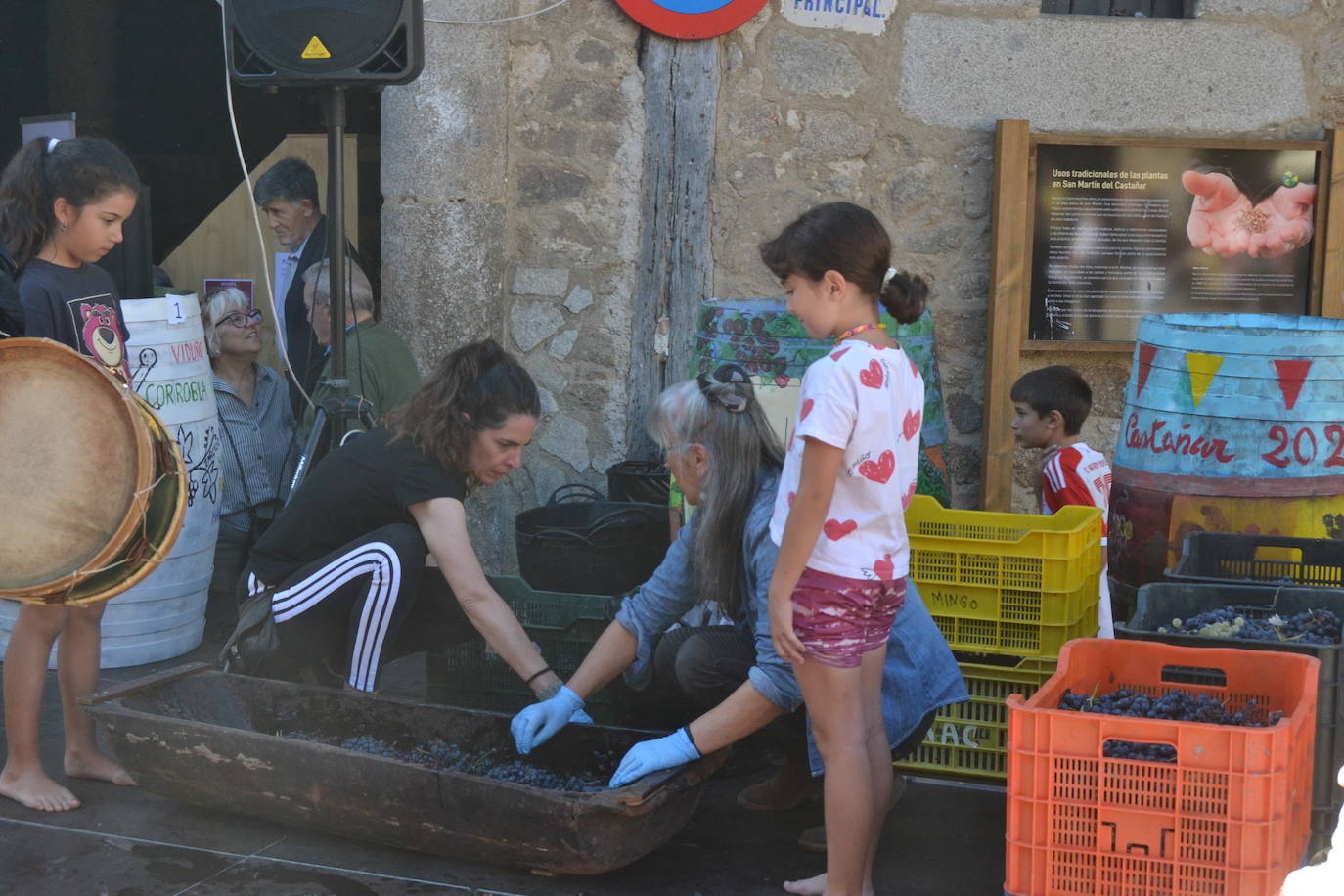 Una oda a la uva y al vino