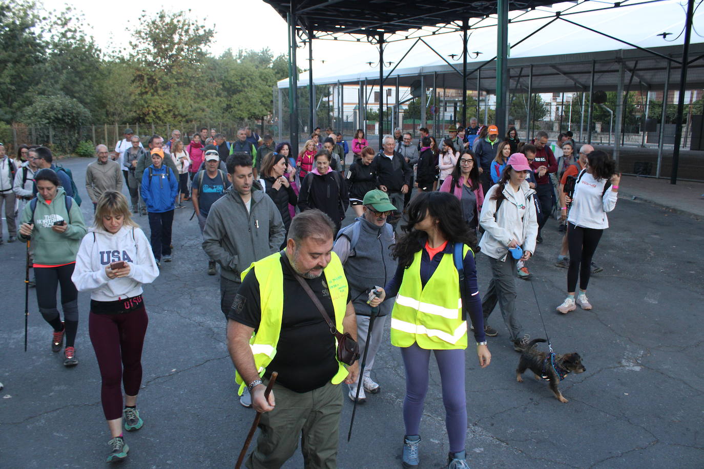 Por los caminos que conducen a Roma