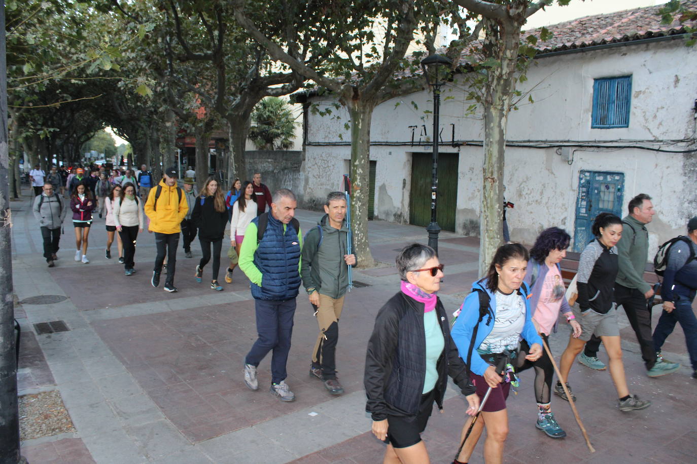 Por los caminos que conducen a Roma