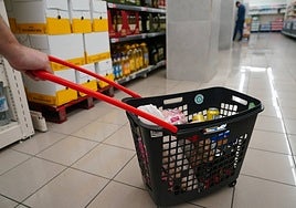 Una cesta de la compra llena de alimentos.