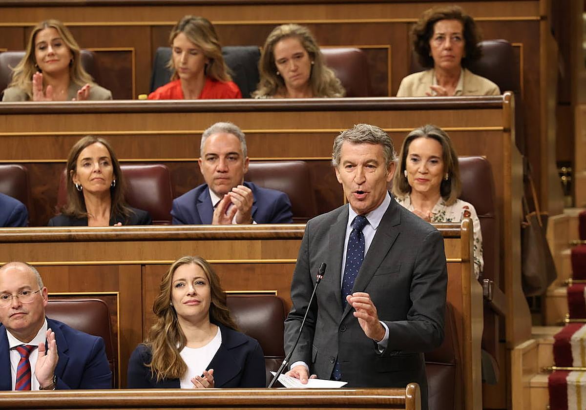 El presidente del PP, Alberto Núñez Feijóo.