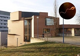 Un equipo de investigadores coordinado por el Centro de Investigación del Cáncer de Salamanca y la Universitat Autònoma de Barcelona han descubierto un dato clave de los espermatozoides.