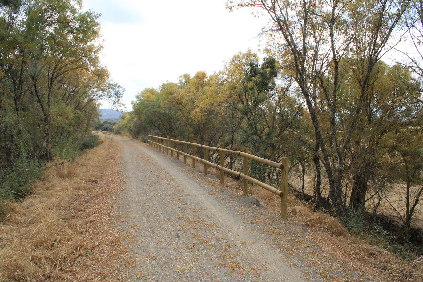 La futura vía verde, cada vez más cerca.
