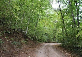 La naturaleza es uno de los emblemas de Linares de Riofrío.