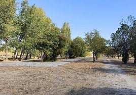 El Ayuntamiento de Peñaranda recuperará el jardín del parque 'El Inestal'.