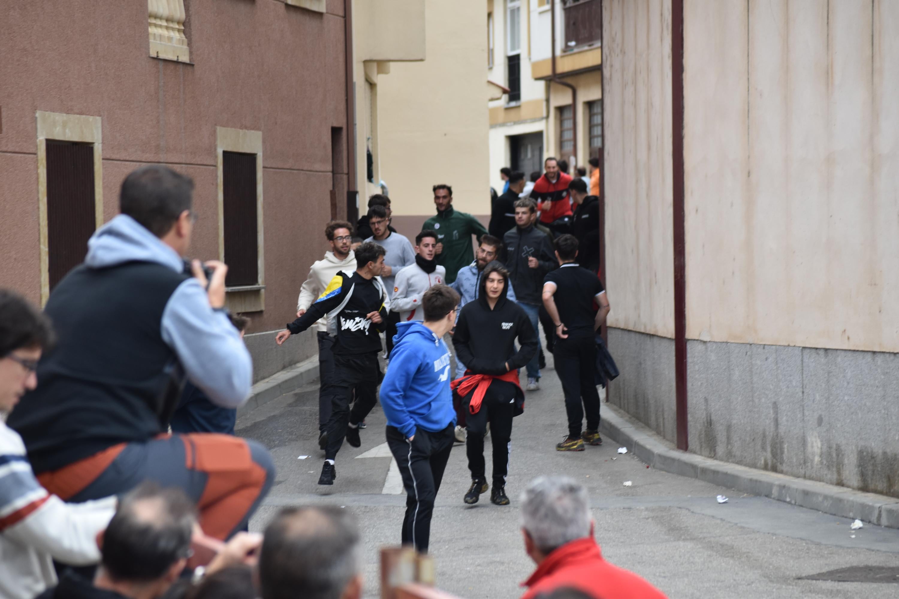 Pasión taurina que une generaciones con encierro de minibueyes y novillos en Alba de Tormes