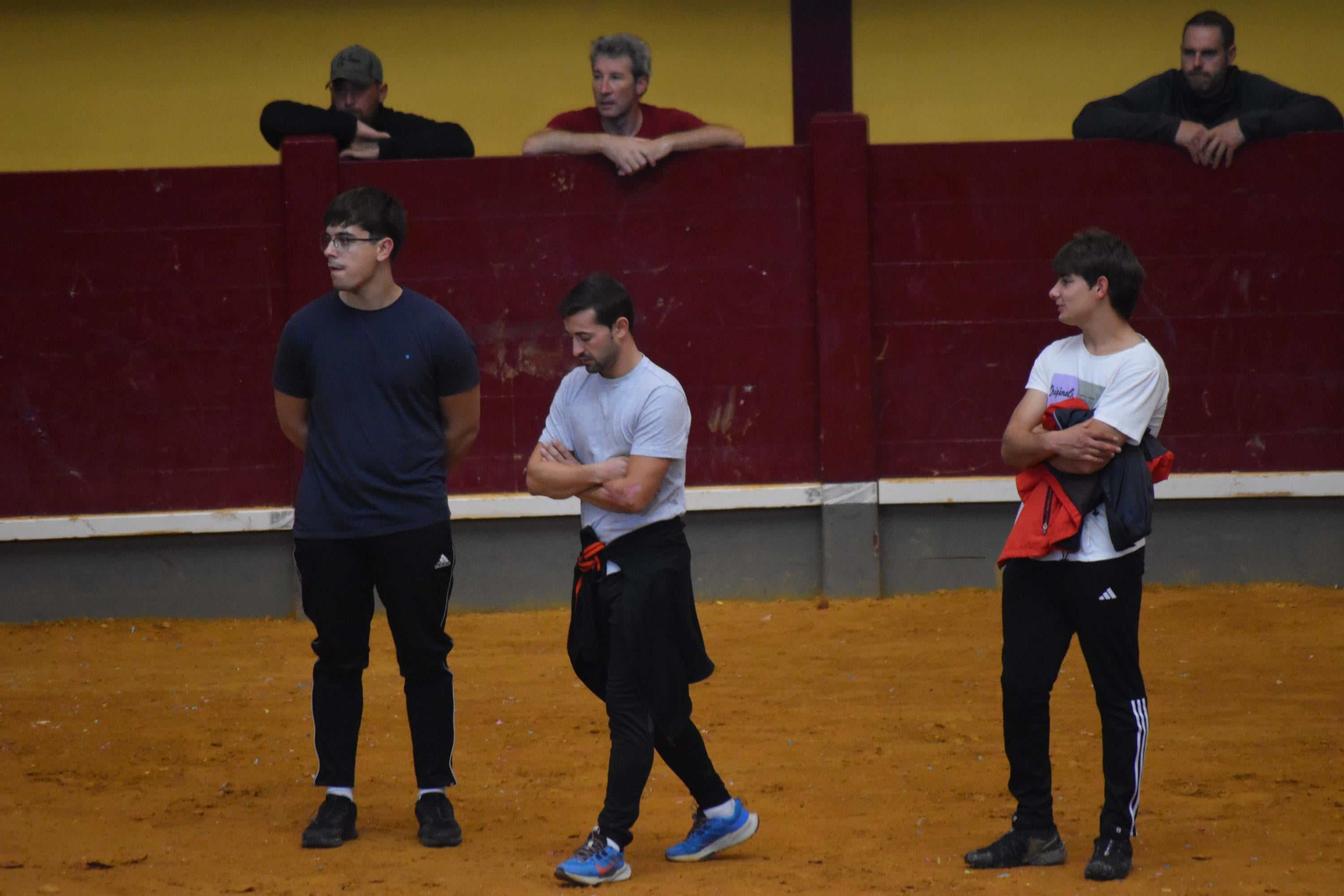 Pasión taurina que une generaciones con encierro de minibueyes y novillos en Alba de Tormes