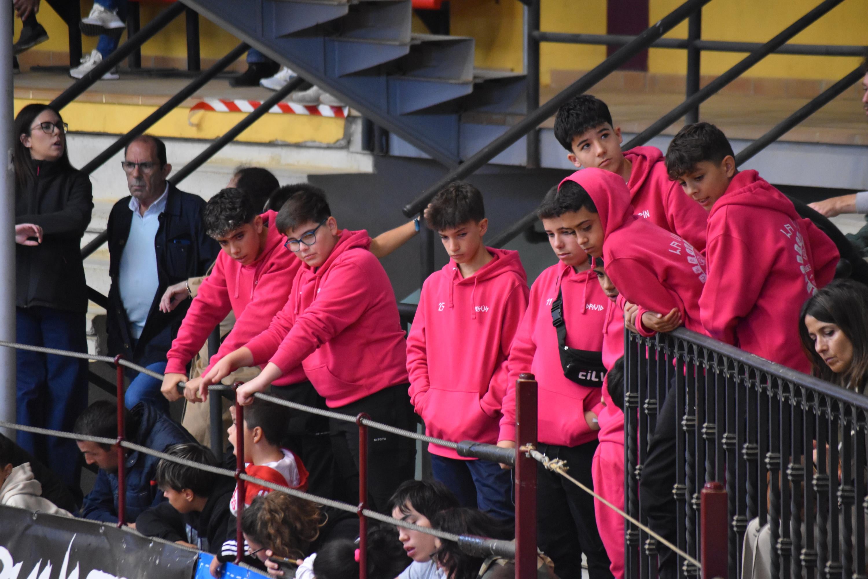 Pasión taurina que une generaciones con encierro de minibueyes y novillos en Alba de Tormes