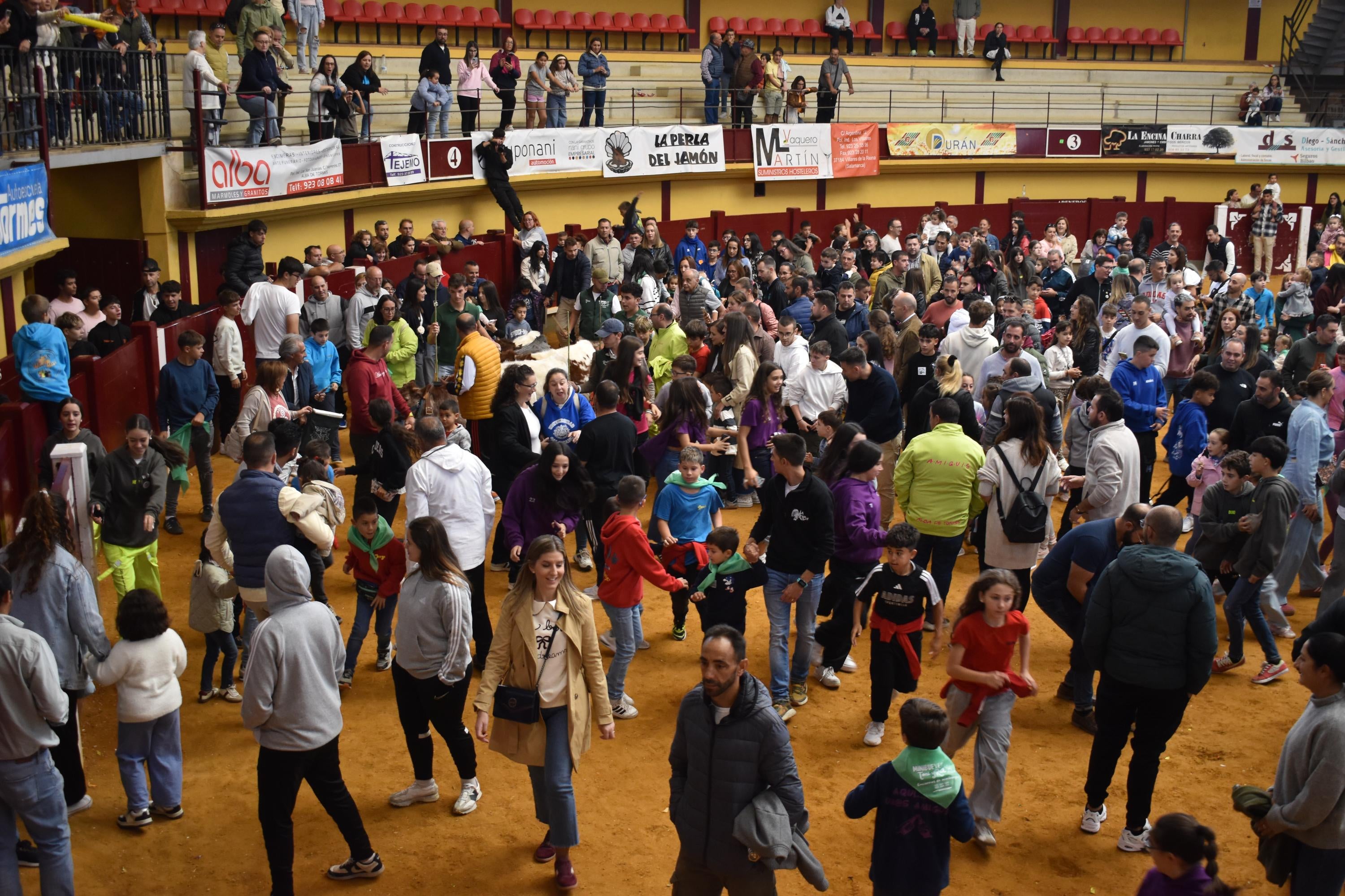 Pasión taurina que une generaciones con encierro de minibueyes y novillos en Alba de Tormes