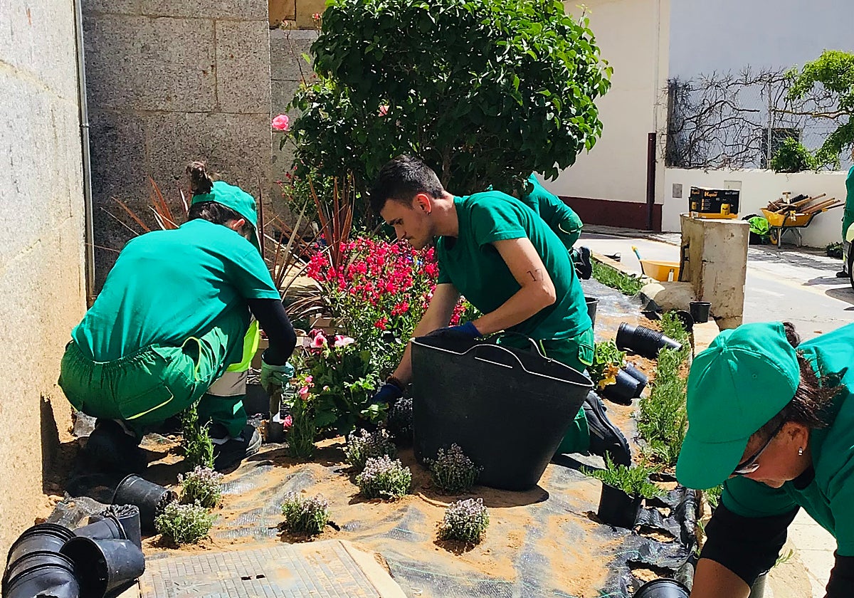 Los alumnos realizando la nueva plantación de especies en el jardín junto a la parroquia de Cabrerizos.