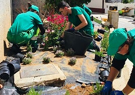 Los alumnos realizando la nueva plantación de especies en el jardín junto a la parroquia de Cabrerizos.