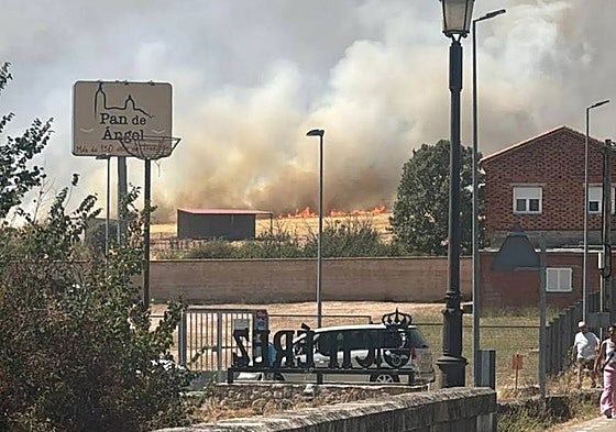 El Consejo de Ministros aprueba las ayudas para los agricultores y ganaderos afectados por los grandes incendios forestales