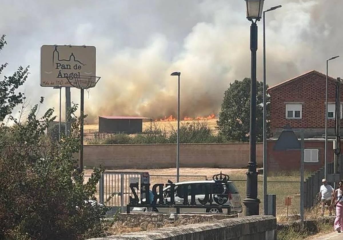 El Consejo de Ministros aprueba las ayudas para los agricultores y ganaderos afectados por los grandes incendios forestales