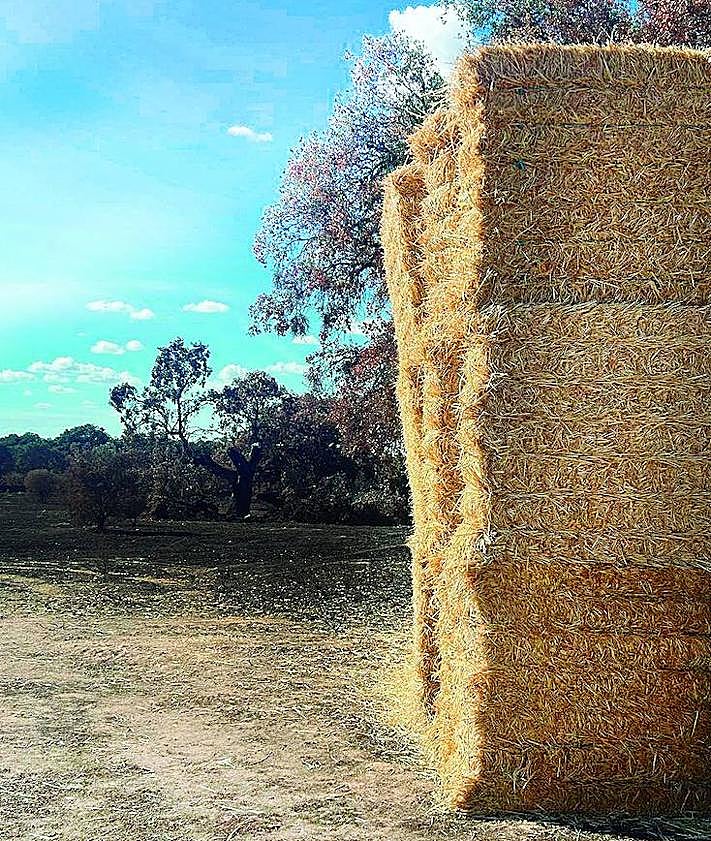 Imagen secundaria 2 - Dos meses tras el incendio de Cipérez: «Todo sigue igual»