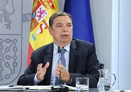 Luis Planas, en su intervención tras el Consejo de Ministros.