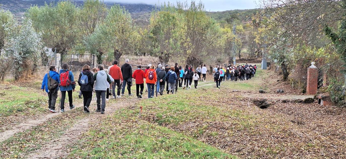 Pasos peregrinos en el Festival de la Candela