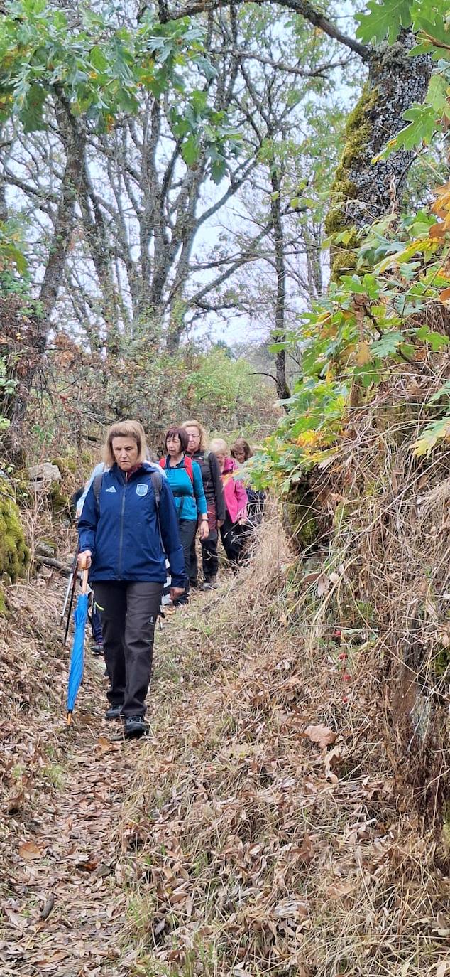 Pasos peregrinos en el Festival de la Candela