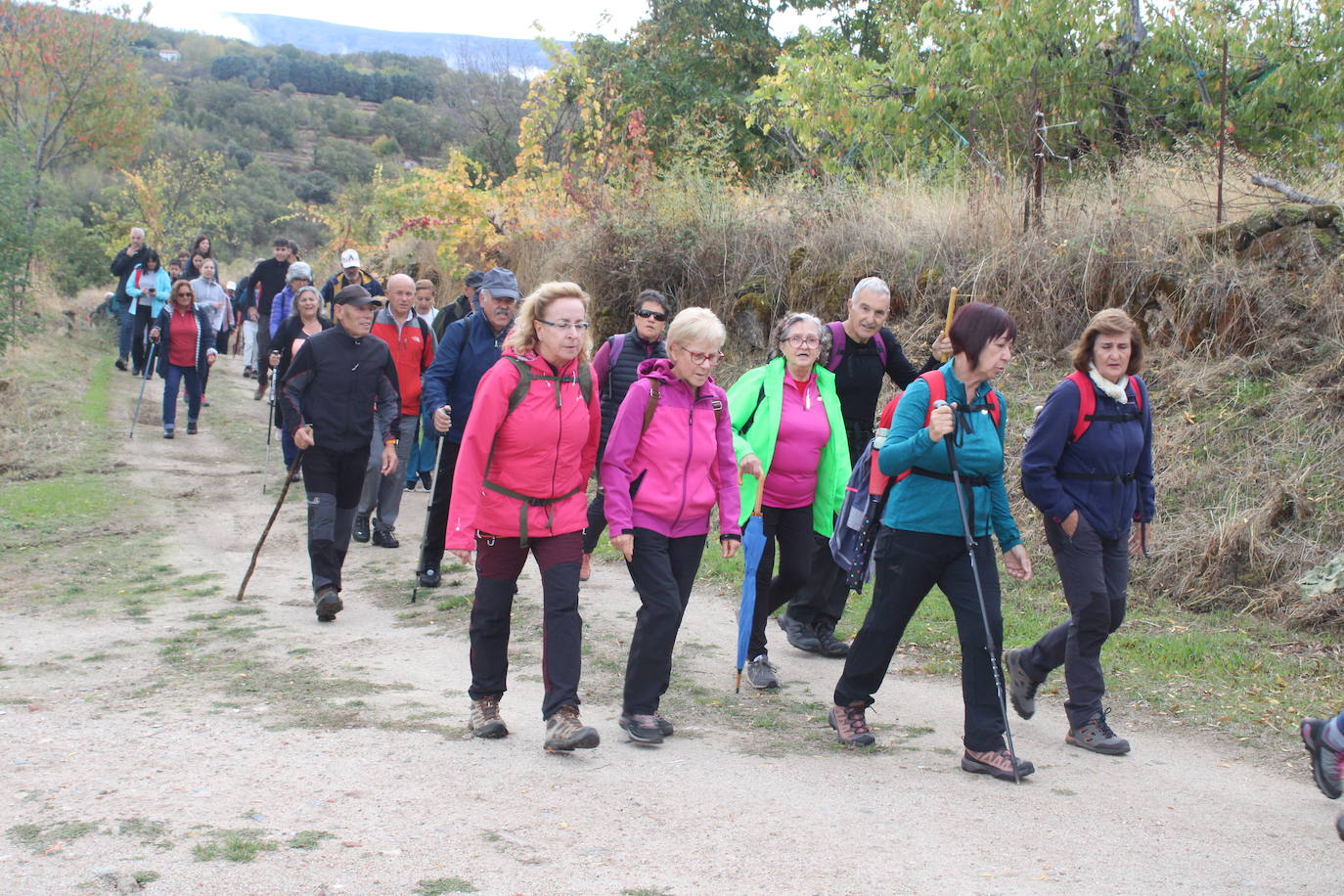 Pasos peregrinos en el Festival de la Candela