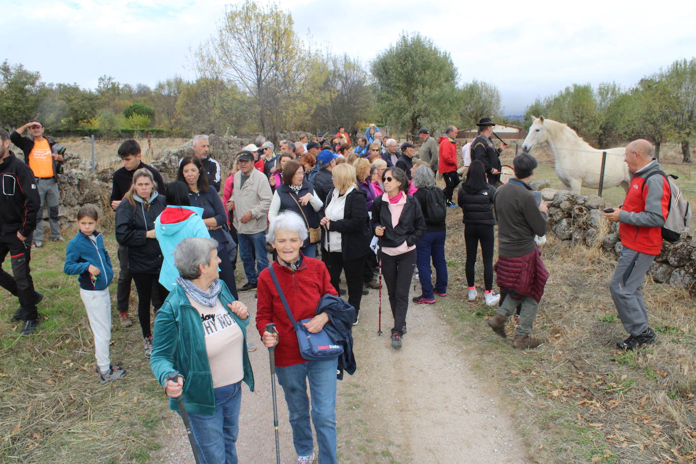 Pasos peregrinos en el Festival de la Candela