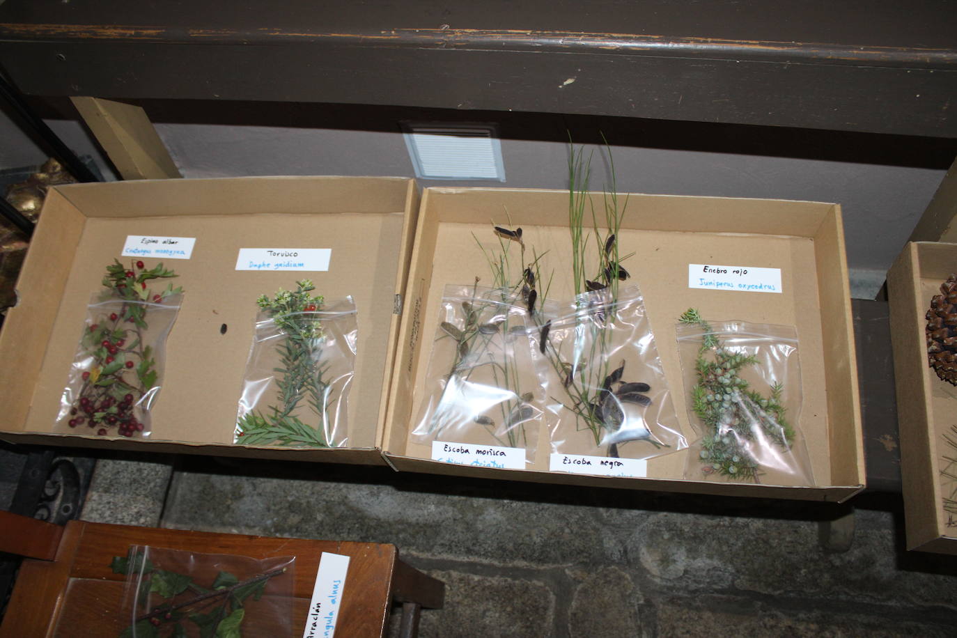 La Candela llena Navalmoral de Béjar